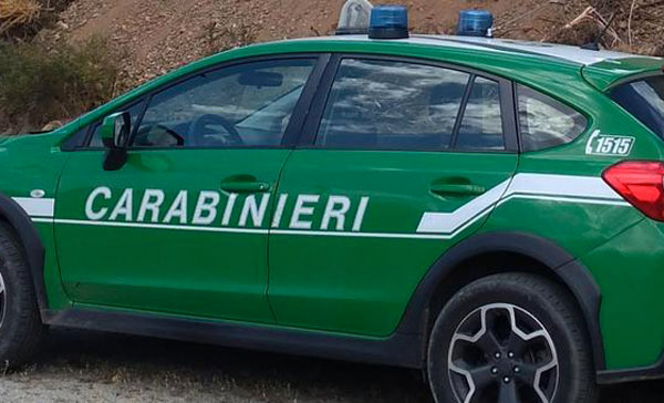 Intrappolati da fiamme e fumo in una casa rurale, salvati 2 ragazzi a Sant'Eufemia D'Aspromonte