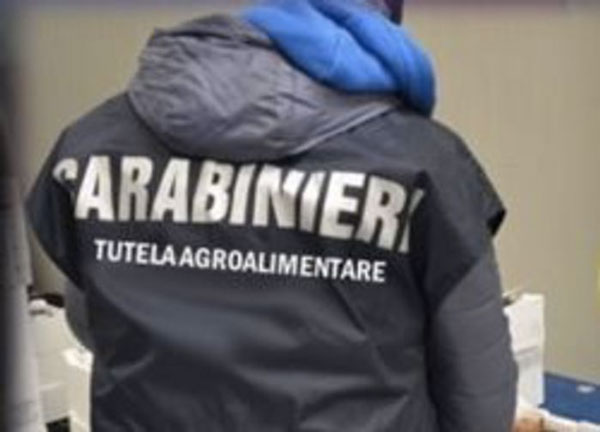 Truffa ai danni dell’Unione Europea, sequestrati beni per 163mila euro a coniugi reggini