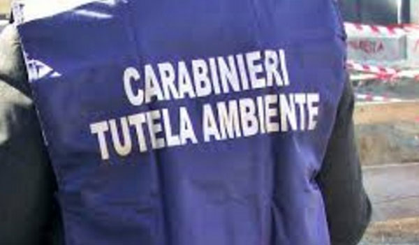 carabinieri-ambiente.jpg