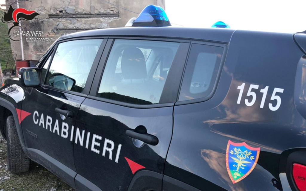 Mercatini rionali a Soverato e Taverna, sequestrate buste di plastica non biodegrabili