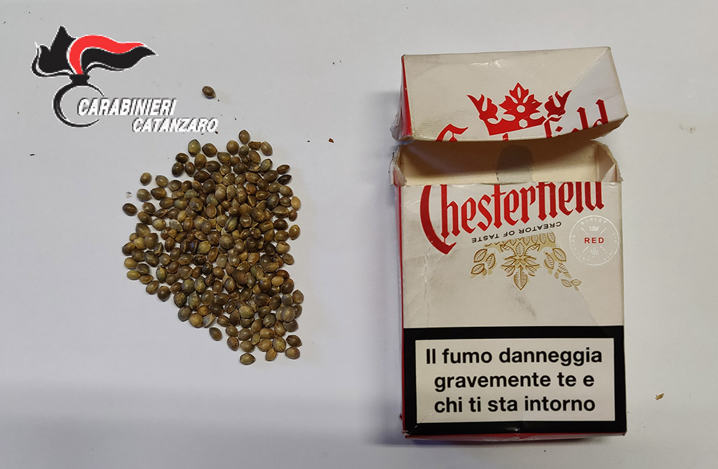 carabinieri-catanxsro-piantagioni-2.jpg