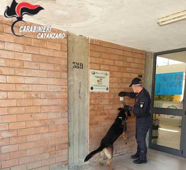 Contrasto al consumo di stupefacenti nelle scuole con il cane "Hakim": sequestrata hashish e segnalati assuntori a Botricello
