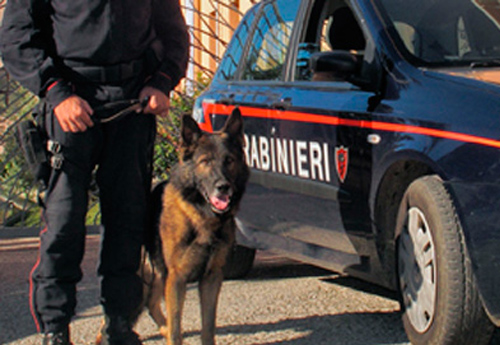 Calabria: Sequestrate due pistole e 3 fucili, arrestato idraulico forestale