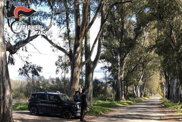 Accusato di sequestro, rapina e tentata estorsione tra Catania, Lamezia e Curinga: arrestato 63enne