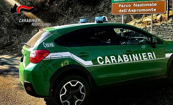 Caccia, carabinieri forestali denunciano otto persone nel reggino