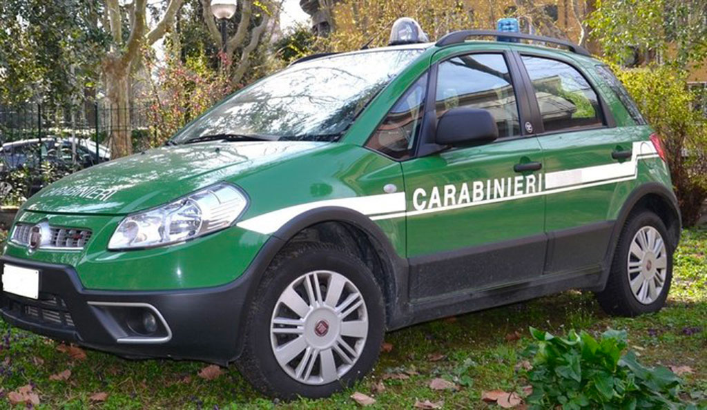 Operazione ‘Fake farm’, truffa all'Inps nel Reggino: sequestrati beni per 100mila euro