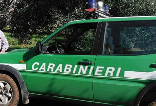 Deturpamento ambientale e danneggiamento, sequestri e denunce dei Carabinieri a Grisolia e Maierà