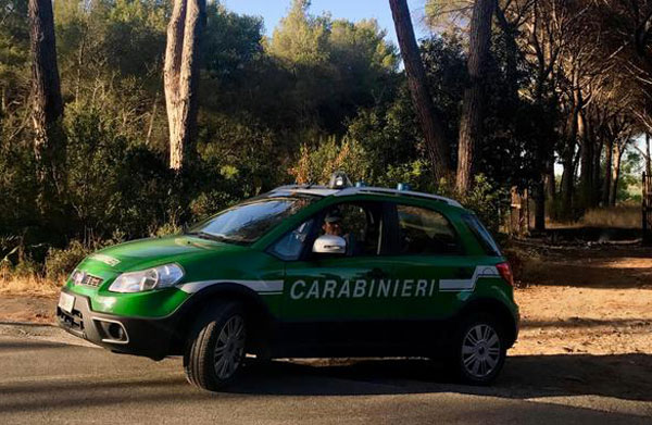 Canile illegale in struttura abusiva a Crotone, denunciato responsabile