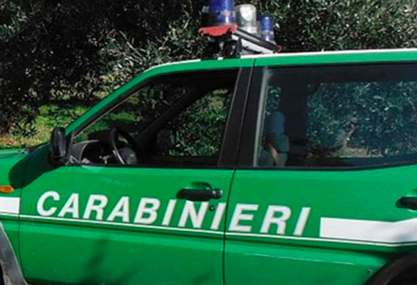Smaltivano illecitamente pneumatici usati nel Cosentino, sei denunce