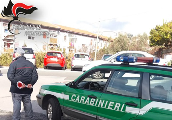 Alimenti senza etichetta e buste di plastica illegali, sequestri e sanzioni nel catanzarese