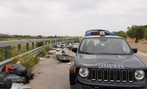 Rifiuti abbandonati lungo la SP 47 a Borgia, una denuncia