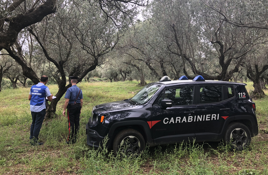 carabinieri-girifalco_fd626.jpg