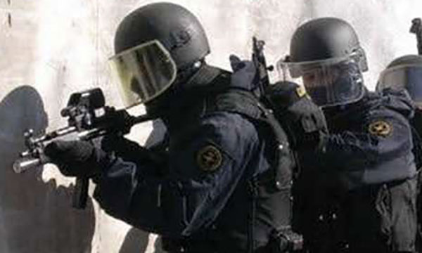 carabinieri-gis.jpg