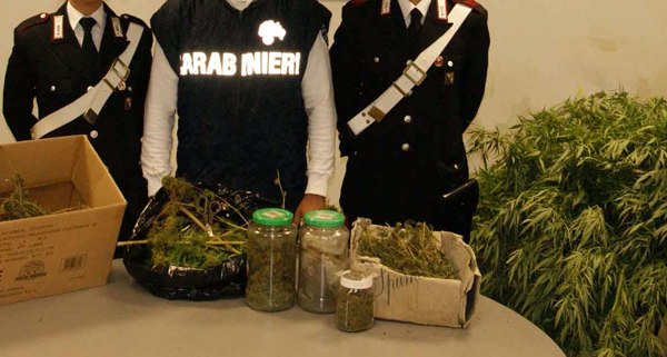 Calabria: Arrestato uomo che aveva in casa coltivazione cannabis