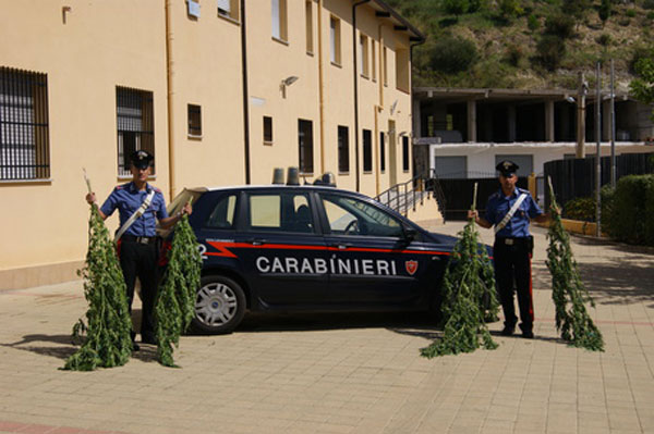 Irrigava piantagione di marijuana, arrestato 56enne a Guardavalle