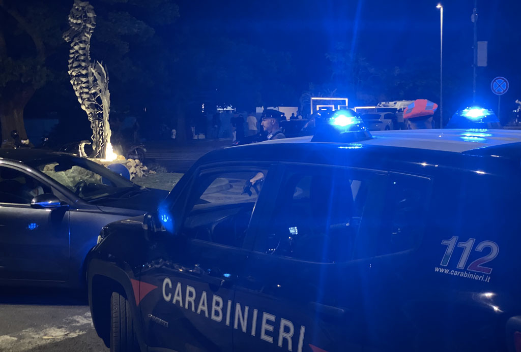 Controlli carabinieri nel Catanzarese, a San Vito sullo Ionio cane aggredisce bimbo di 5 anni: denunciata proprietaria