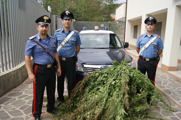 carabinieri-piante-marijuana.jpg