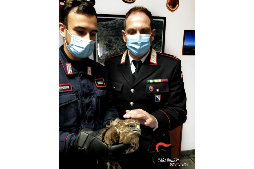carabinieri-rapace-ferito-21122020.jpg