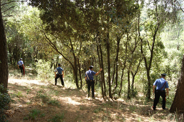 Calabria: Bimbo di 7 anni si perde in montagna, salvato da carabinieri 