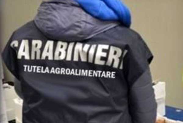 Agroalimentare, sequestrate 15 tonnellate di alimenti anche in Calabria