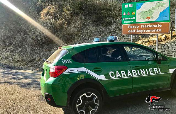 A caccia in area Parco Aspromonte: denunciato 