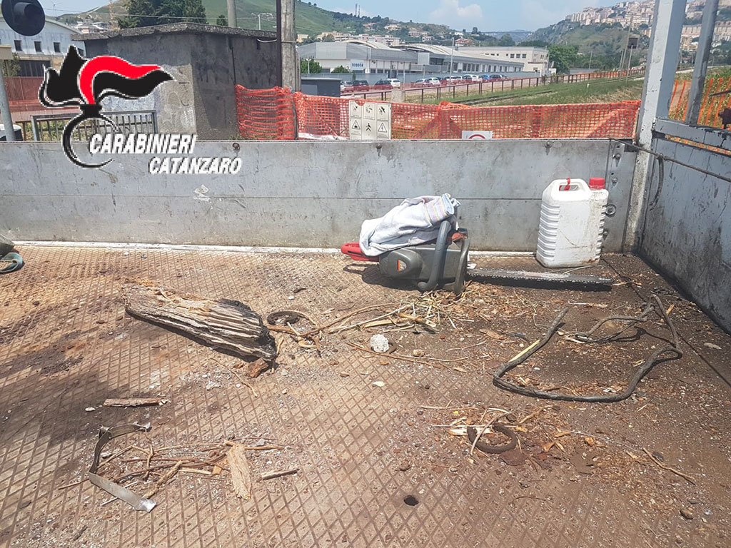 Sorpresi a rubare legna nel cantiere della nuova metropolitana a Catanzaro, due arresti