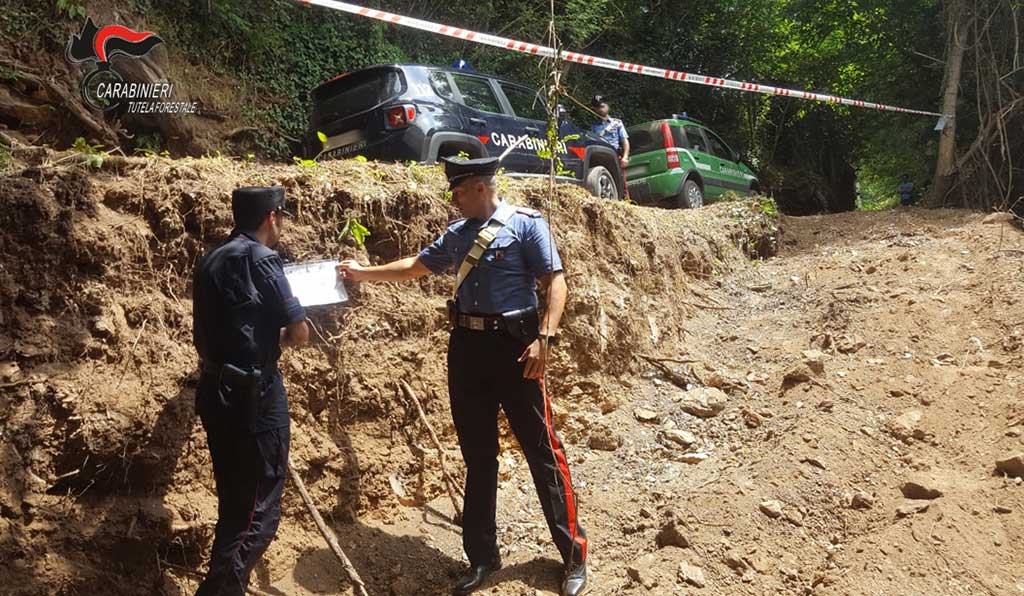 Sequestrata strada abusiva in un bosco a Platania, una denuncia