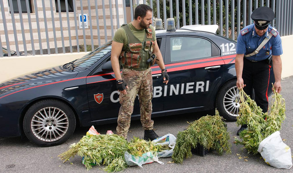carabinieri_canapa_crotone.jpg