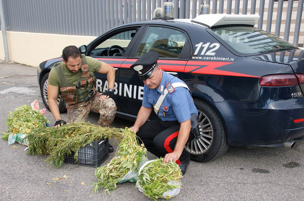 Nascondeva e coltivava marijuana in casa, arrestato pregiudicato 48enne di Crotone