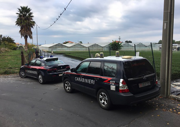 Blitz contro la camorra, 27 arresti per droga, racket ed armi: operazione dei Carabinieri anche in Calabria