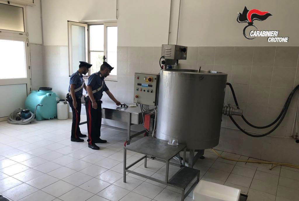 Sicurezza alimentare, sequestrato oltre un quintale di formaggio in azienda del crotonese