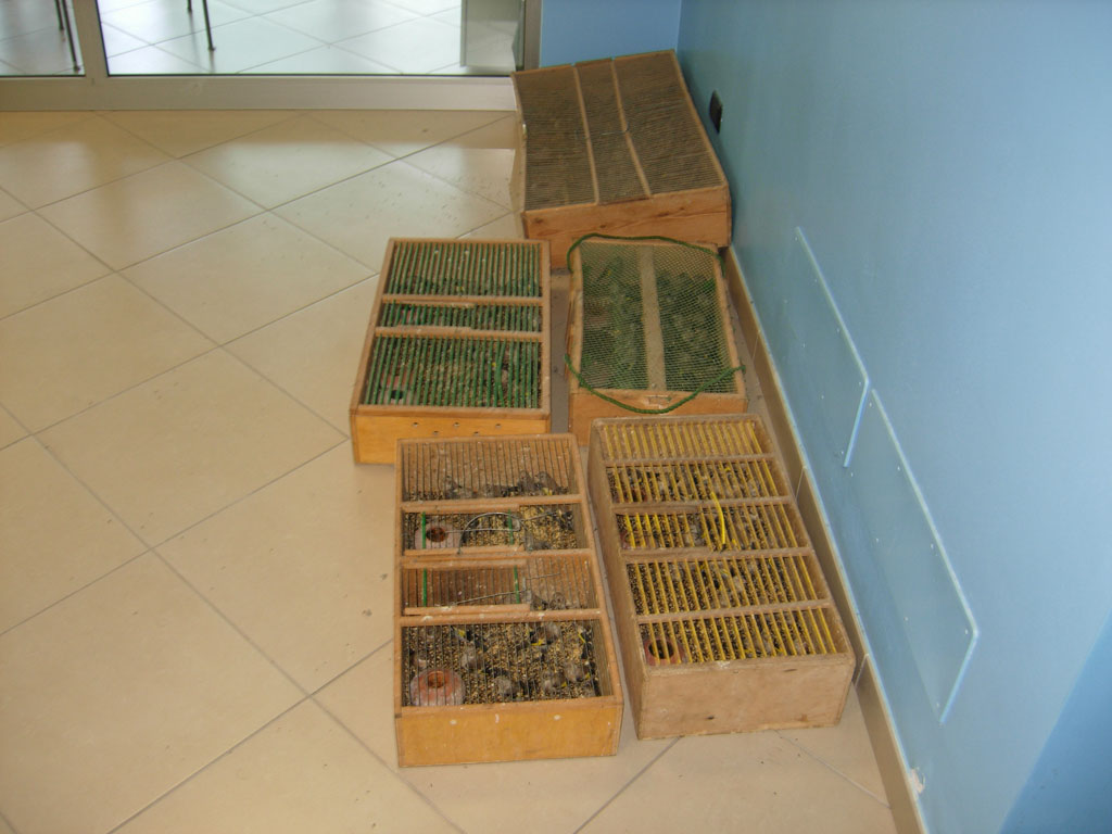 cardellini-auto-lamezia1.jpg