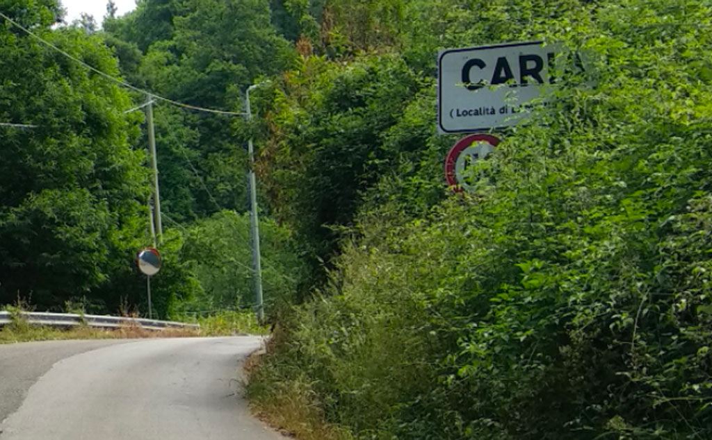 Erbacce su strada Provinciale tra Martirano Lombardo a Lamezia: cittadini chiedono interventi urgenti