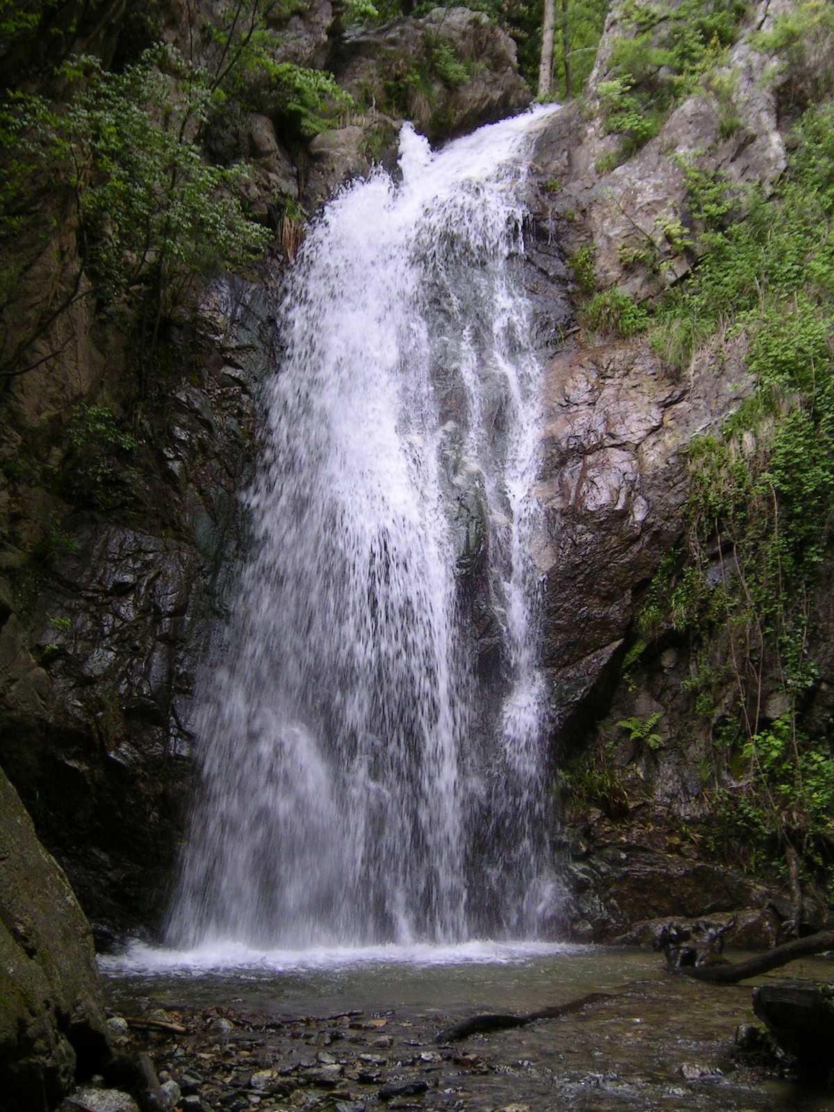 Regione, ok del consiglio a riserva naturale "Valli Cupe"