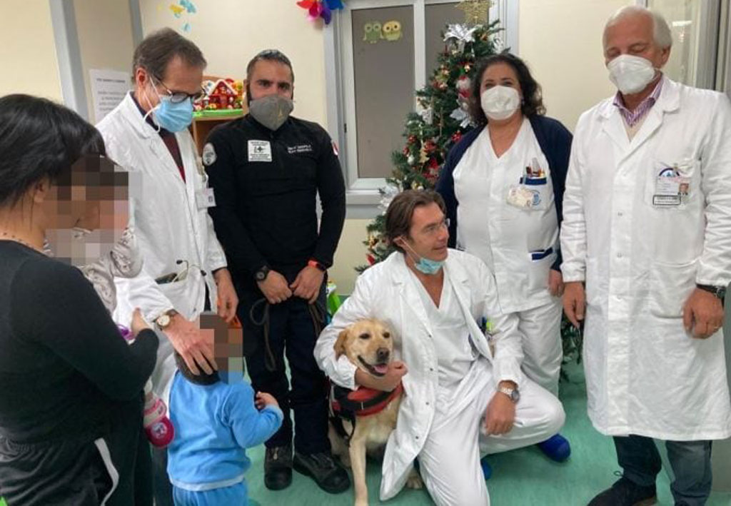 catanzaro-scuola-ospedale-cane-salvataggio-5-673x505_6f47d.jpg