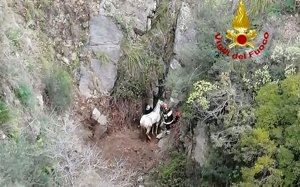 Cavallo scivola in scarpata a Caminia, recuperato con elicottero vigili del fuoco