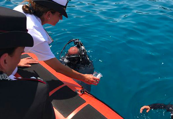 Cavallucci marini liberati nel mare a Soverato dopo cure