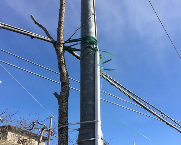 Lamezia, Bilotta (Sovranità): da giorni strade prive di illuminazione ad Acquadauzano