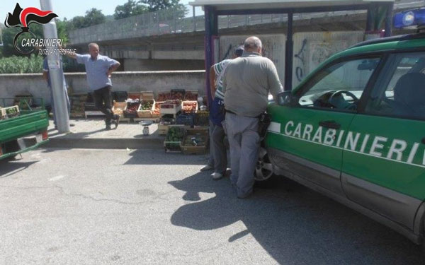 Controlli sui veicoli utilizzati per trasporto di alimenti a Catanzaro, sanzioni per 24mila euro
