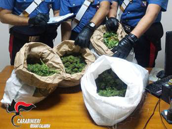 Sequestrati 15 chili di marijuana nascosti nel portabagagli dell'auto, arrestati 3 giovani nel reggino