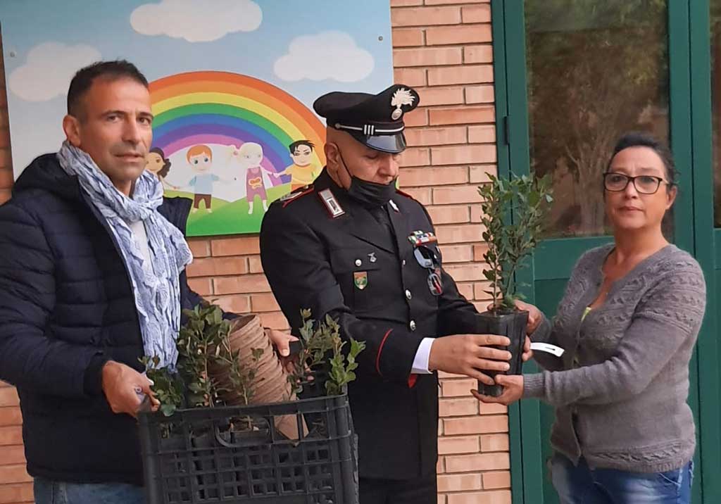 Carabinieri celebrano la giornata nazionale degli alberi: iniziative nelle scuole anche a Lamezia