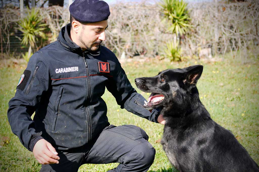 cc-cane_413f7.jpg