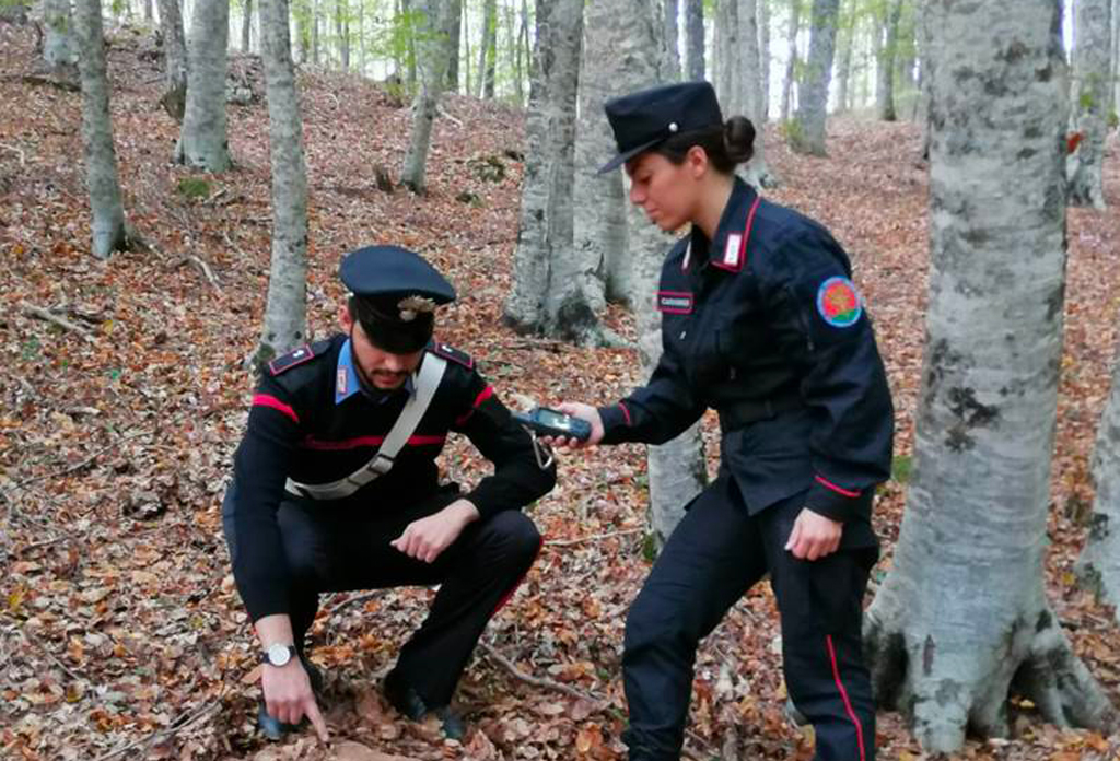 Controlli dei carabinieri nel territorio del Reventino: 10 denunce   