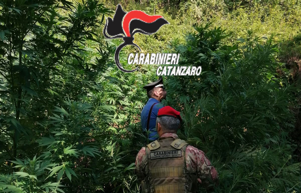 cc-catanzaro-202021.jpg
