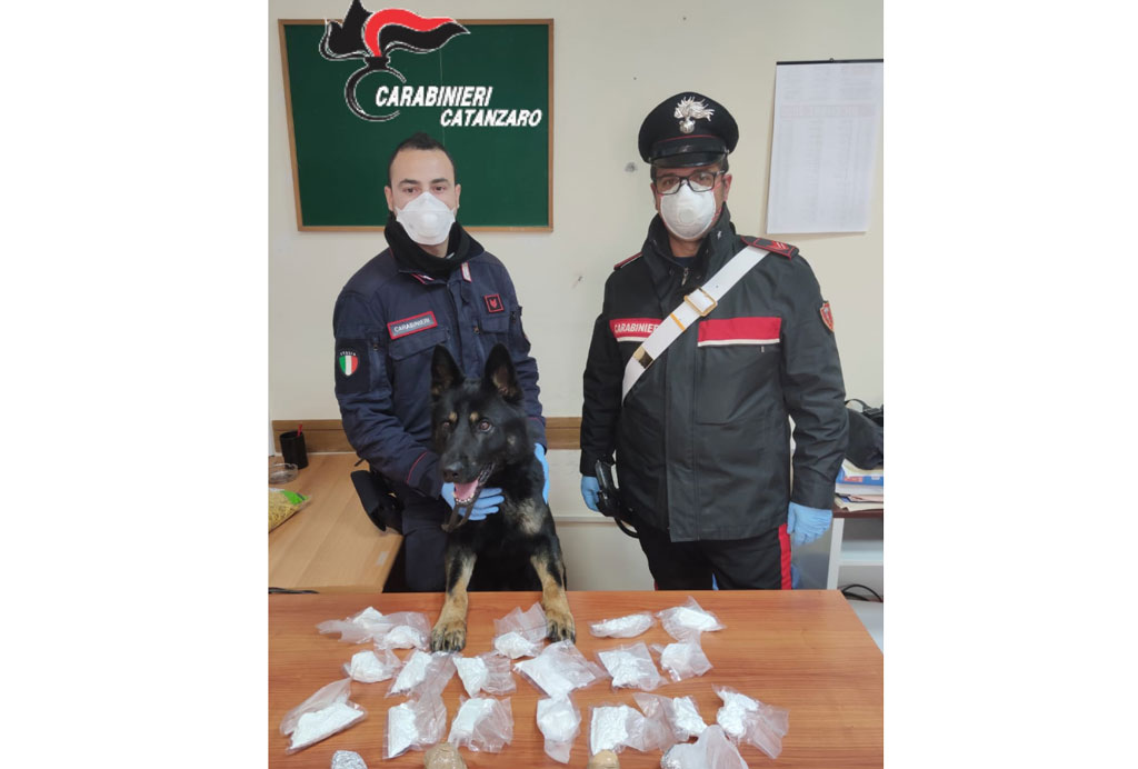Getta borsone pieno di cocaina sotto gli occhi dei carabinieri a Catanzaro, arrestato