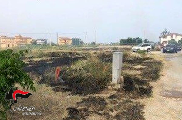 In fiamme erbacce e rovi a Davoli Marina: una denuncia 
