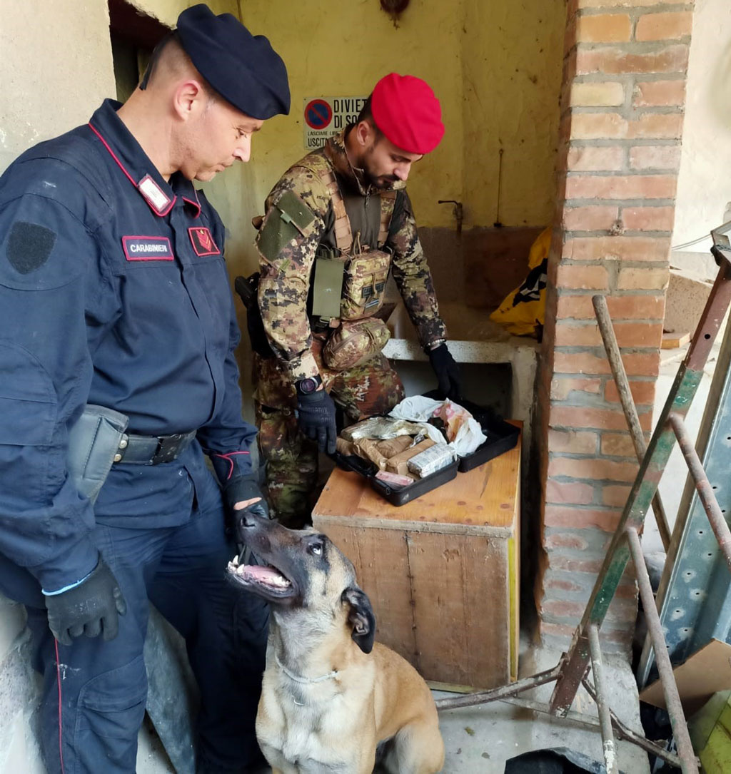 cc-lamezia_826a8.jpg