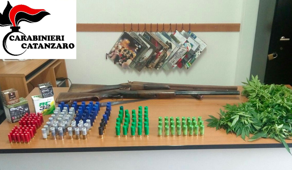 Piantagione di marijuana nel giardino di casa, denunciata anziana a Tiriolo