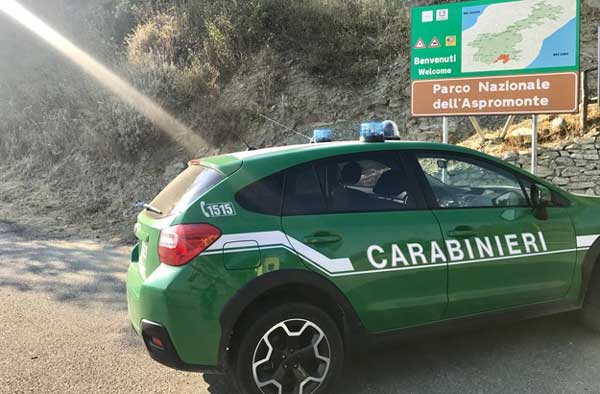 Sorpreso ad appiccare rogo in Parco Aspromonte, arrestato