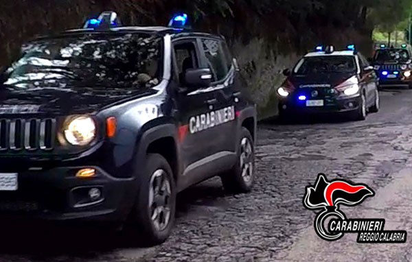Sequestrate armi e munizioni nascoste in contenitori interrati nel Reggino